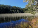 Lake Allom on Fraser Island