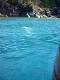 Snorkelling in Mantaray Bay